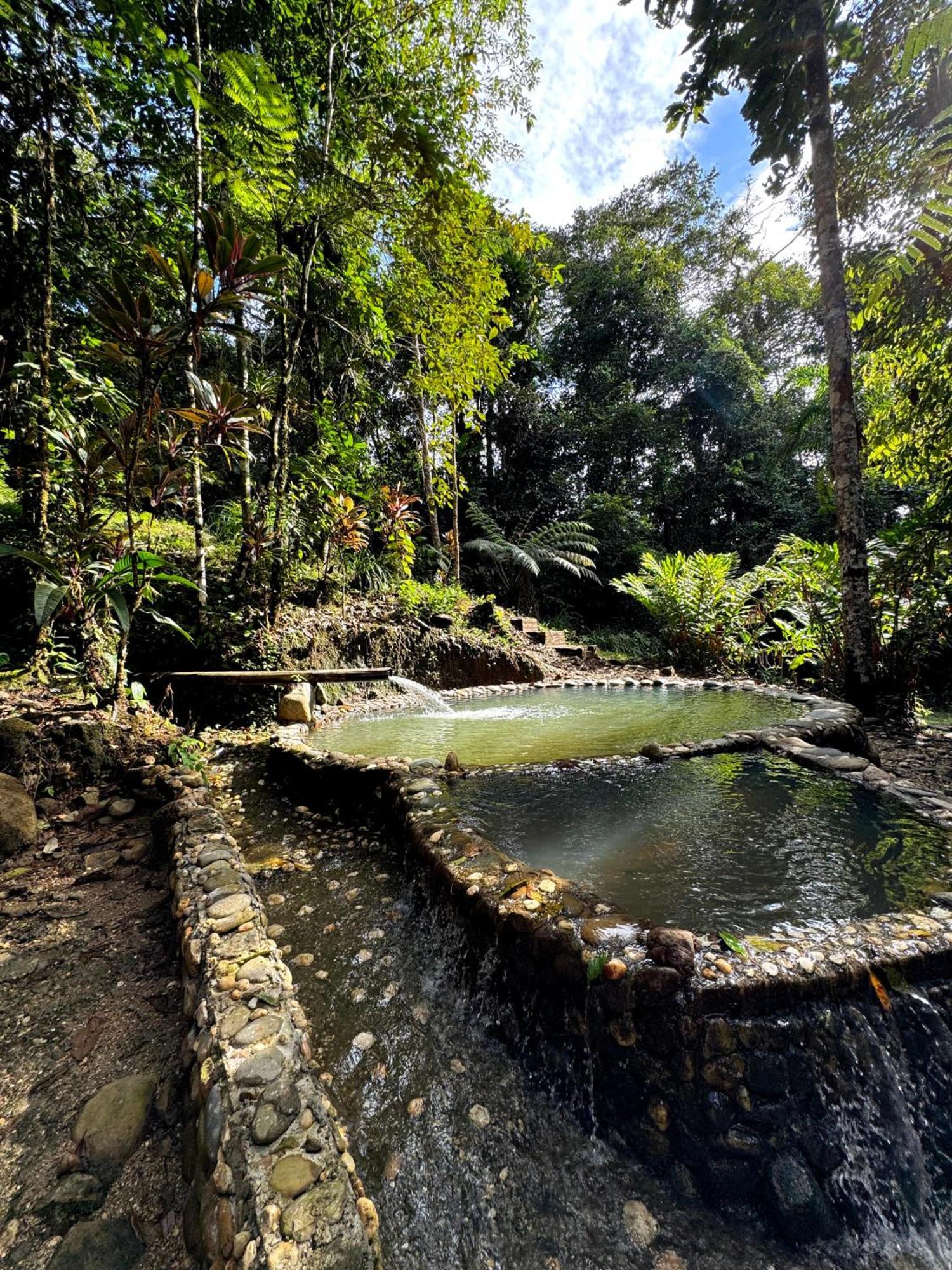 Wisdom Forest Lodge เตนา ภายนอก รูปภาพ