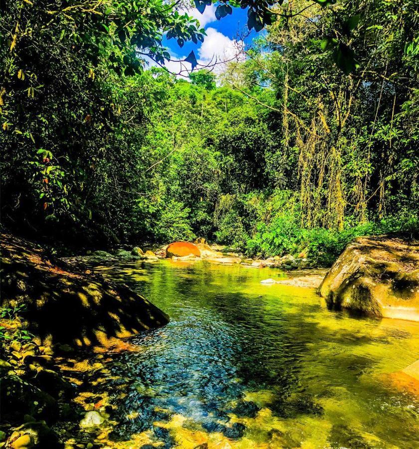 Wisdom Forest Lodge เตนา ภายนอก รูปภาพ